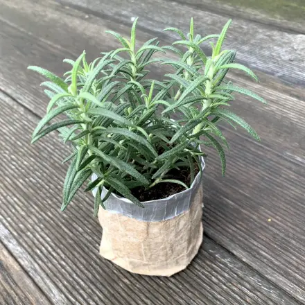 Pflanztasche selber machen aus Tetrapack | Upcycling