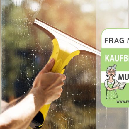 Fenstersauger Test & Vergleich: 7 günstige Empfehlungen