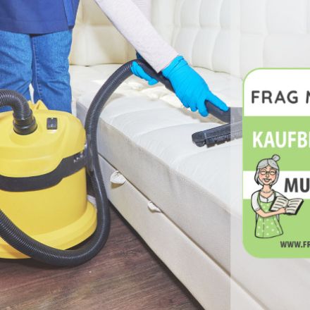 Nass-Trocken-Sauger Test & Vergleich: 6 Empfehlungen