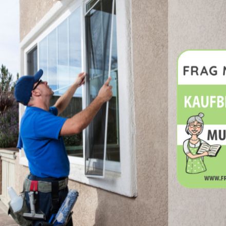 Fliegengitter für Fenster Test & Vergleich: 7 Tipps
