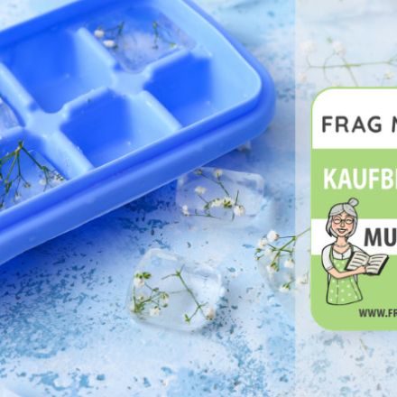 Eiswürfelform Test & Vergleich: 6 günstige Empfehlungen