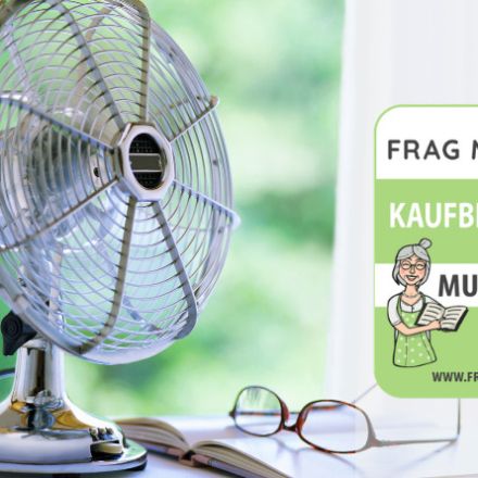 Tischventilator Test & Vergleich: 5 Top Empfehlungen