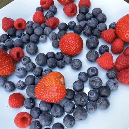Beeren einfrieren & auftauen ohne matschig zu werden