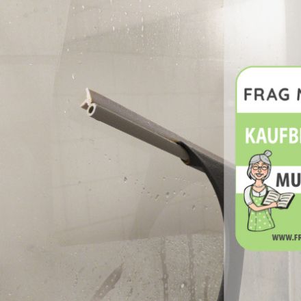 Duschabzieher Test & Vergleich: 6 günstige Empfehlungen