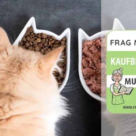 Katzenfutter Test & Vergleich: 6 günstige Empfehlungen