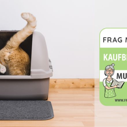 Katzenklos Test & Vergleich: 6 günstige Empfehlungen