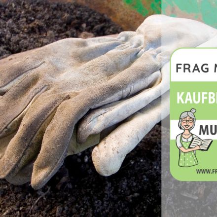 Arbeitshandschuhe Test & Vergleich: 6 Empfehlungen