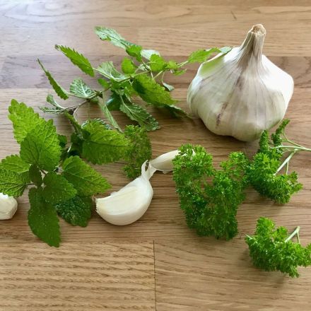 Knoblauchgeruch schnell loswerden – Tipps und Tricks