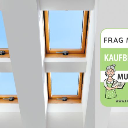 Dachfenster Test & Vergleich: 6 günstige Empfehlungen