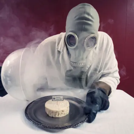 Warum essen Erwachsene so gerne Stinkekäse?