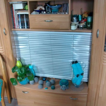 Stauraum schaffen im Wohnzimmmerschrank