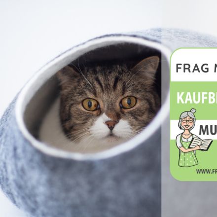 Katzenhöhle Test & Vergleich: 6 günstige Empfehlungen