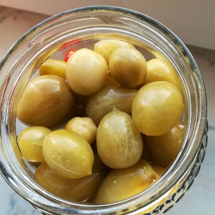 Unreife grüne Tomaten fermentieren