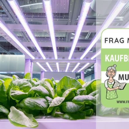 LED-Leiste Test & Vergleich: 6 günstige Empfehlungen