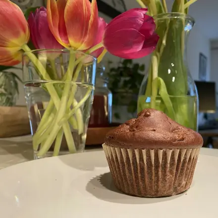 Kalorienarme Birnen-Buttermilch-Kakao-Muffins
