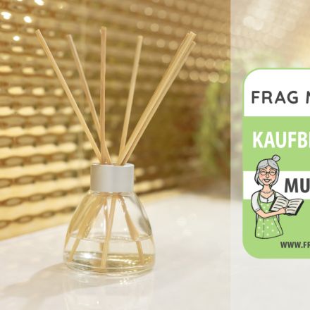 Raumduft Test & Vergleich: 6 günstige Empfehlungen
