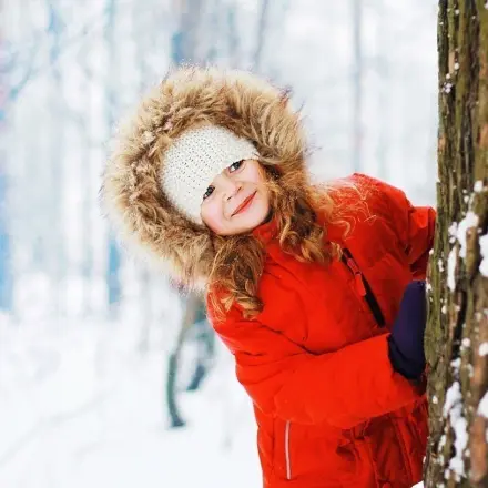 Warum frieren die Bäume im Winter nicht?