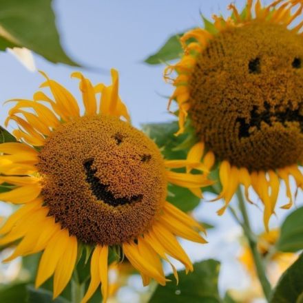 „Bernhards Welt“: Das Valentinstags-Massaker