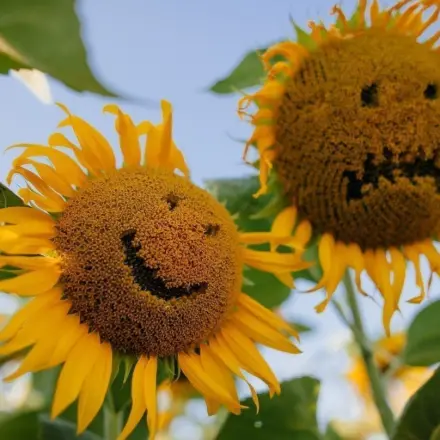 „Bernhards Welt“: Das Valentinstags-Massaker