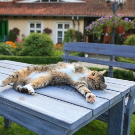 "Bernhards Welt": Genuss und Schluss