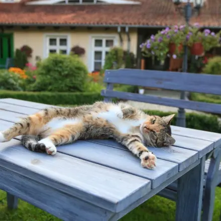 "Bernhards Welt": Genuss und Schluss