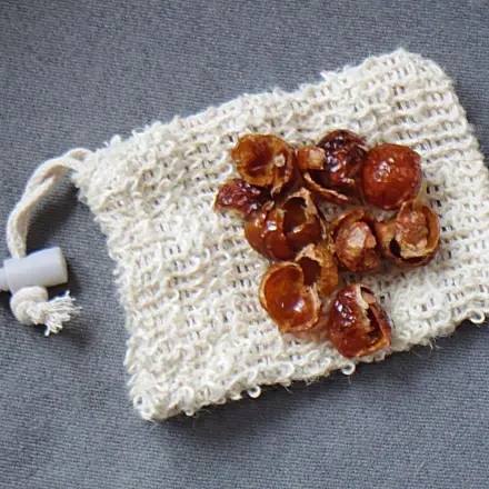 Nachhaltig waschen mit Waschnüssen