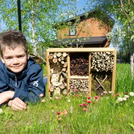 Wie baue ich ein Insektenhotel?