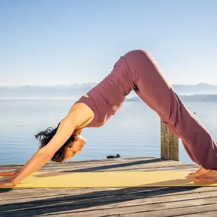 Der herabschauende Hund