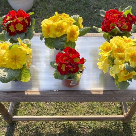 Upcycling im Garten: Tischplatte aus Polycarbonat-Zuschnittresten