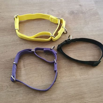 Vorbereitung für einen Hund als neues Familienmitglied