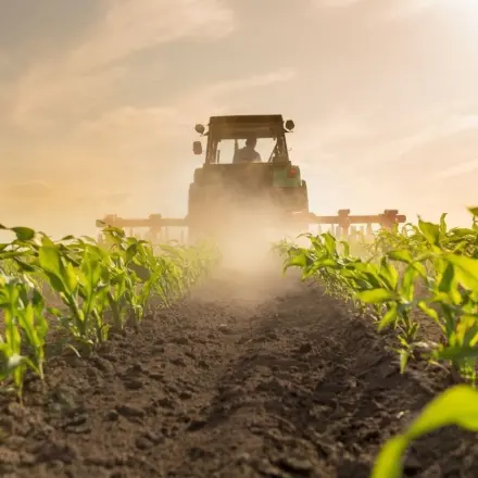 Abschied vom Kalkstickstoff – Gefahr für Umwelt und Mensch