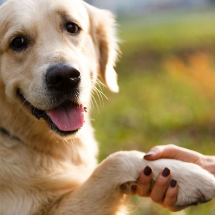 15 Begrüßungen weltweit – Griaß di, Ciao und Namaste #FunFriday