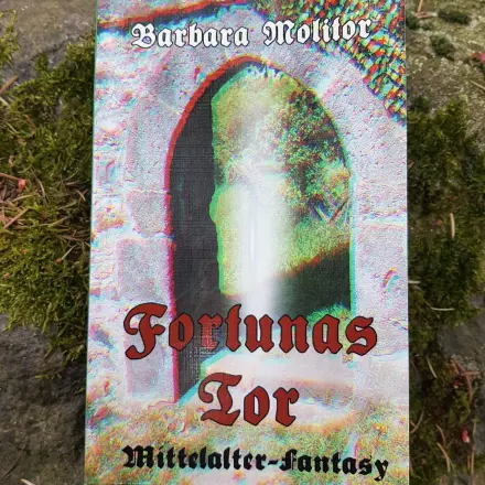Buchtipp "Fortunas Tor" - packender Zeitreise-Roman