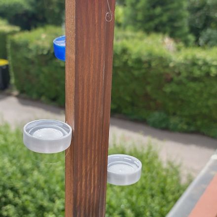 Tränke für Insekten herstellen