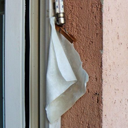 Teebaum-Lotion und Trocknertuch vertreiben Stechmücken und Wespen