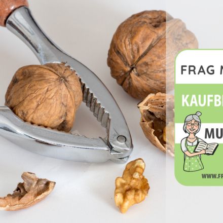 Nussknacker Test & Vergleich: 6 günstige Empfehlungen