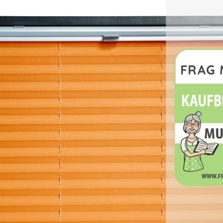 Faltrollos Test & Vergleich: 6 günstige Empfehlungen