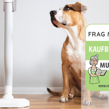 Tierhaarstaubsauger Test & Vergleich: 6 günstige Empfehlungen