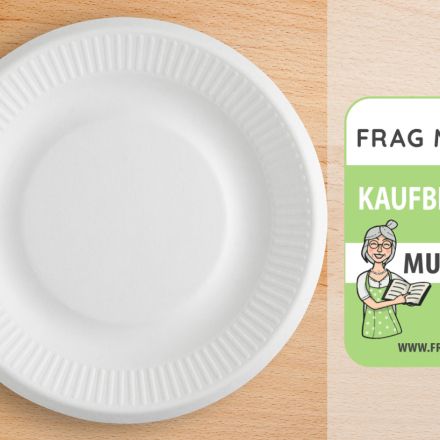 Pappteller Test & Vergleich: 6 günstige Empfehlungen