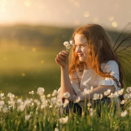 „Warum sagt man: „Holla, die Waldfee“?“