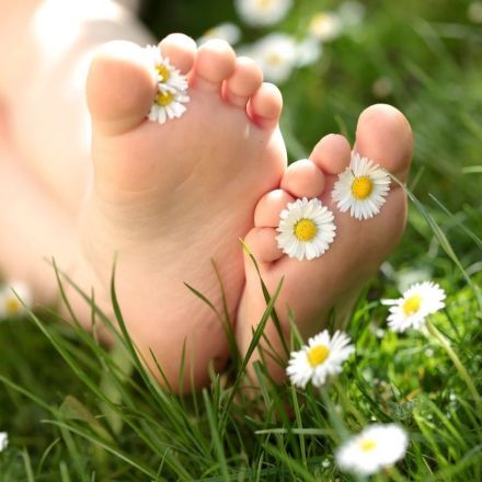 Self-Care mit Ina: Gänseblümchen – Liebesorakel und Nährstoffbombe