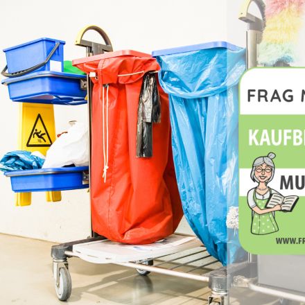 Putzwagen Test & Vergleich: 6 günstige Empfehlungen