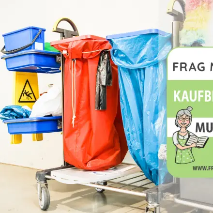 Putzwagen Test & Vergleich: 6 günstige Empfehlungen