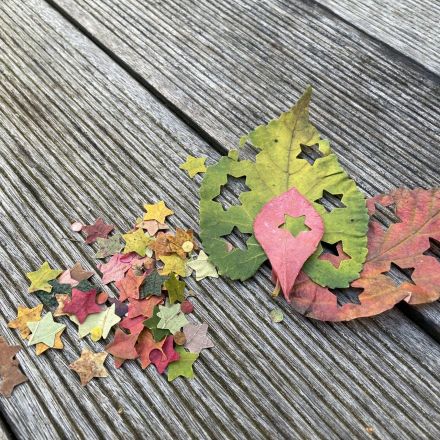 Konfetti aus Laubblättern selber machen