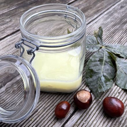 Kastanien-Waschmittel selber machen