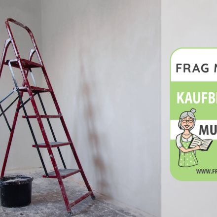 Haushaltsleiter Test & Vergleich: 6 günstige Empfehlungen