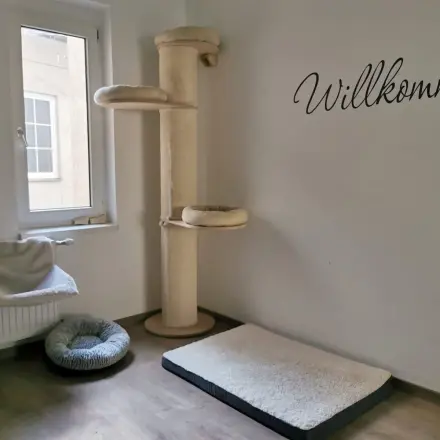 Minimalismus: Tipps und Tricks