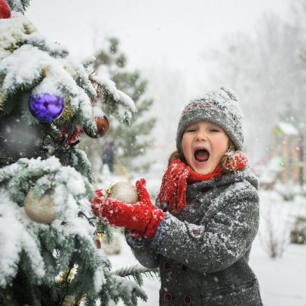 „Was hat ein Baum mit Weihnachten zu tun?" 