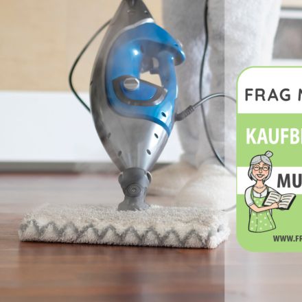 Dampfbesen Test & Vergleich: 6 günstige Empfehlungen