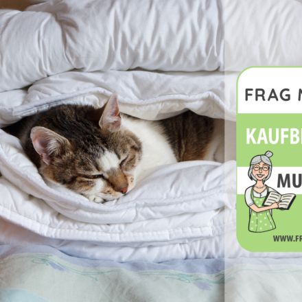 Die besten Winter-Bettdecken im Test & Vergleich: 6 Empfehlungen